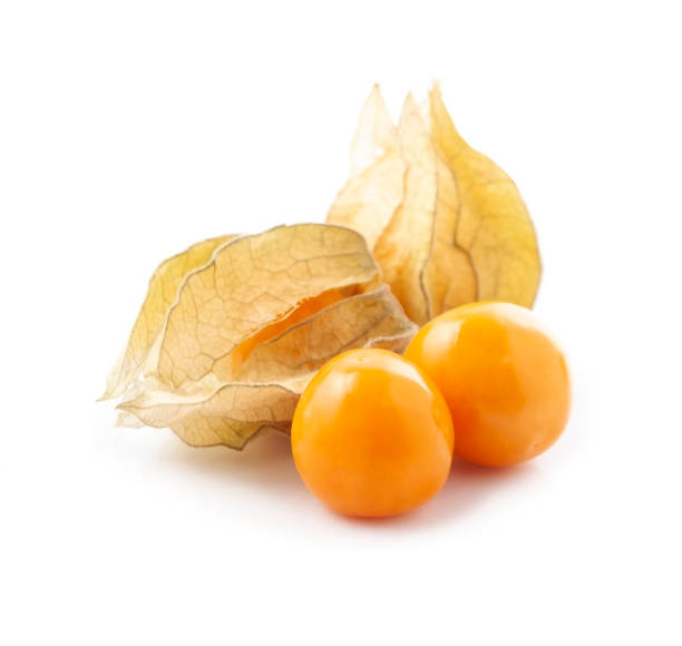 PHYSALIS (Bandeja)