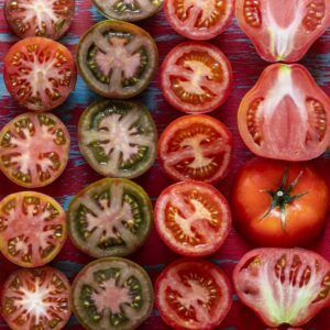 TOMATES